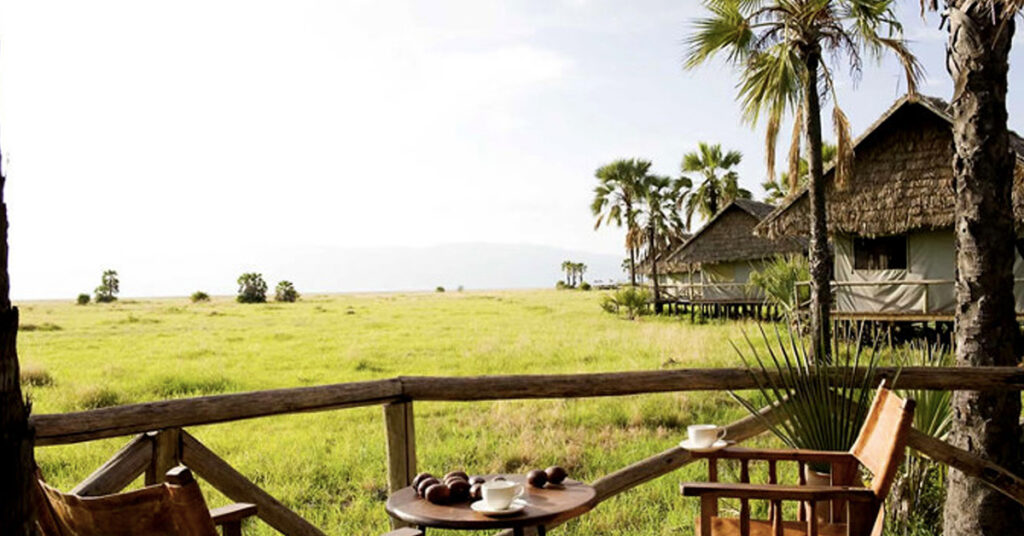 Los mejores hoteles para un Safari en Tanzania