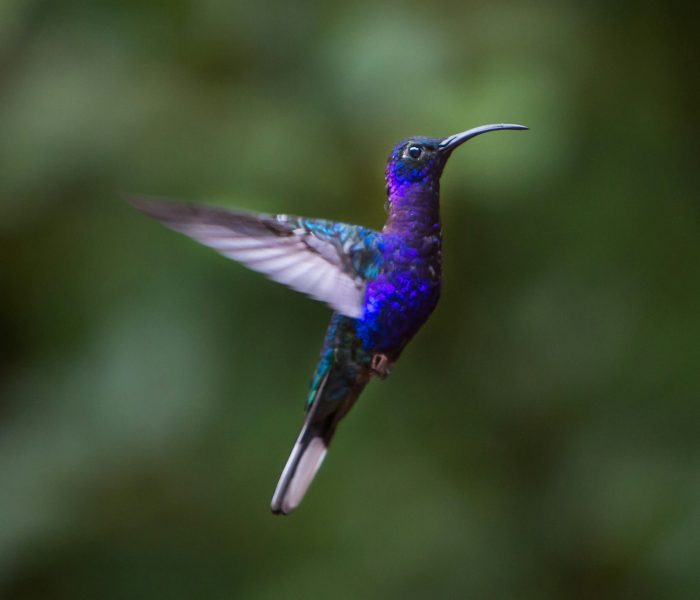 james-ting-RAu54pFo-2c-unsplash(1)