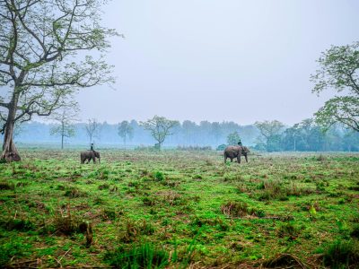 kiran-awale-5gsopNa4CF0-unsplash(1)