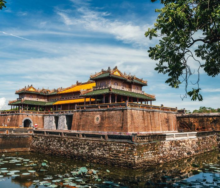pexels-vietnam-photographer-27418881(1)
