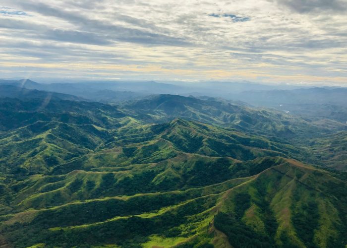 tanya-guillory-ntyNGuggurI-unsplash