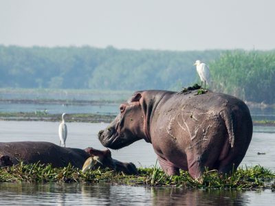 wietse-jongsma-xCf6lui2G4c-unsplash