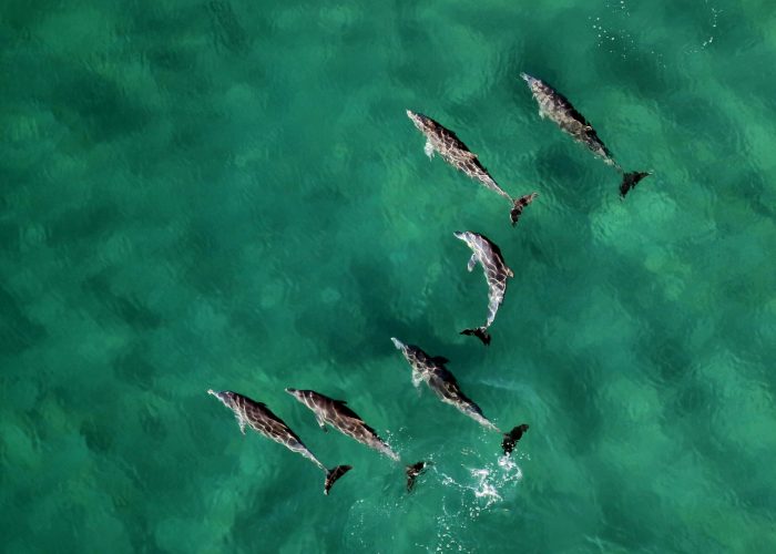 wynand-uys-0_32AIxy1Hk-unsplash
